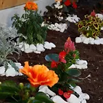 Villa Santa Lucia Guest house San Benedetto del Tronto
