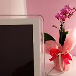 Guest house Villa Santa Lucia