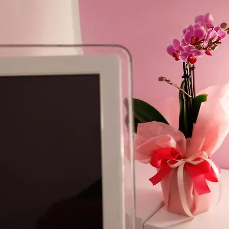 Guest house Villa Santa Lucia 4*