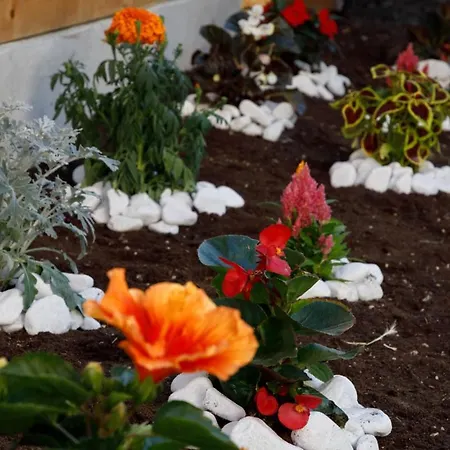 Villa Santa Lucia Guest house San Benedetto del Tronto