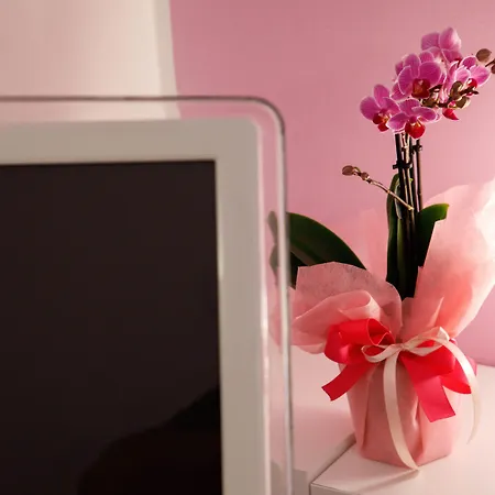 Guest house Villa Santa Lucia